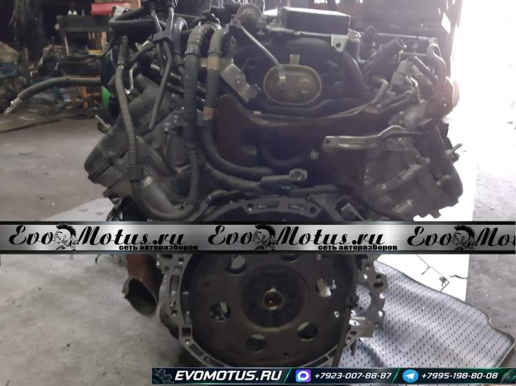Двигатель 1UR на LEXUS LS460 USF40 (лексус LS460)