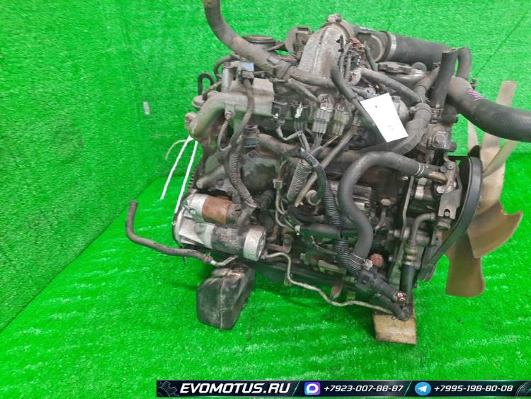 двигатель QD32 на NISSAN ELGRAND ANWE50 (ниссан эльгранд)