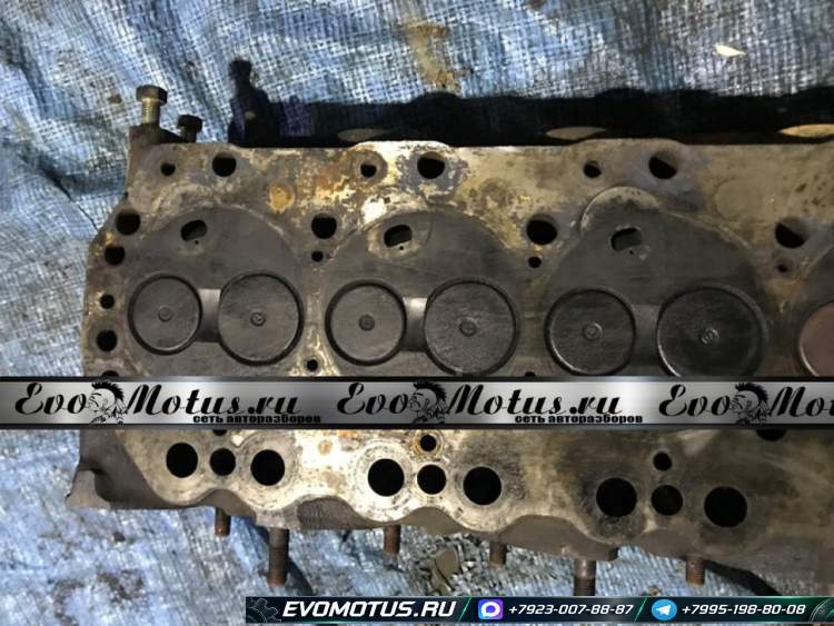 головка блока на TD42T NISSAN PATROL WRY61 (ниссан патрол)