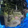 АКПП W4A422NZD3 на 4G64 MITSUBISHI AIRTREK CU4W (мицубиси аиртрек)