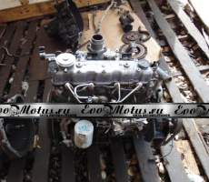 головка блока на SD23 NISSAN DATSUN AGY720 (ниссан датсун)
