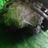 акпп RE0F09A FZ56  на VQ35DE NISSAN  PRESAGE PU31 (Ниссан Пресаж)   