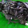 двигатель  QR25DD на NISSAN PRIMERA RP12;WRP12 (Ниссан Примера)