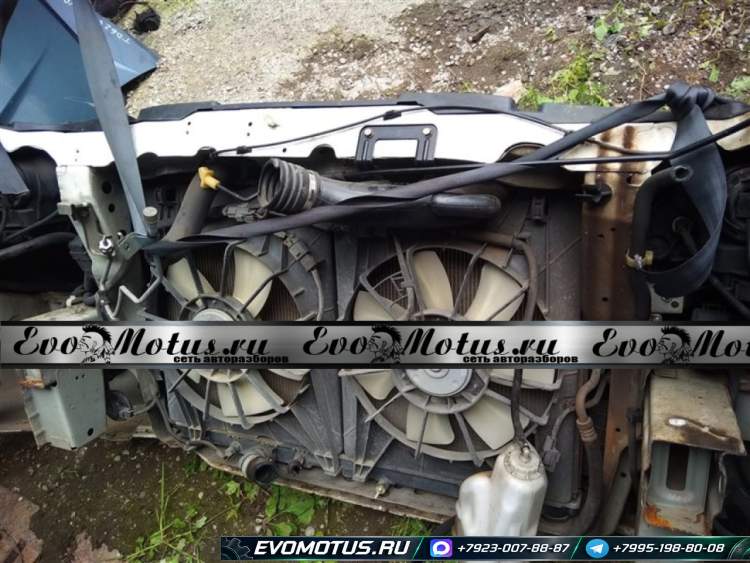 Ноускат на HONDA ELYSION RR1, RR2, RR3, RR4 ( хонда элизион) белый