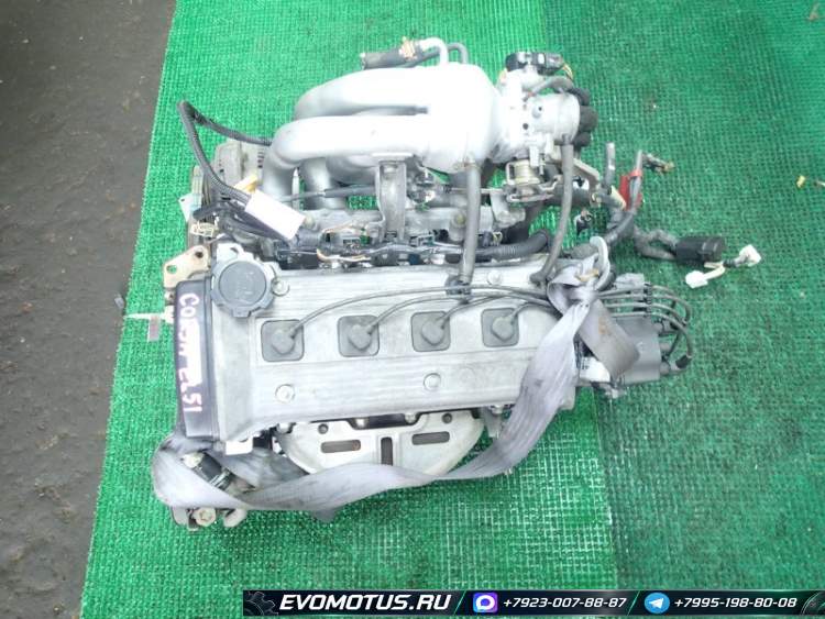Двигатель 4E-FE TOYOTA TERCEL EL51 (тойота терцел)