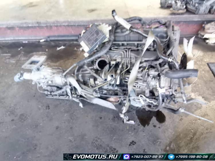 двигатель WL-TE на MAZDA BONGO FRIENDEE SGLR (мазда бонго френди) двигатель WL-TE на MAZDA BONGO FRIENDEE SGLR (мазда бонго френди)
