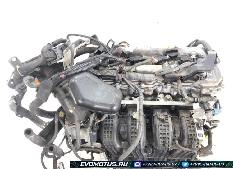 Двигатель 1AR-FE TOYOTA VENZA AGV15 (тойота венза)