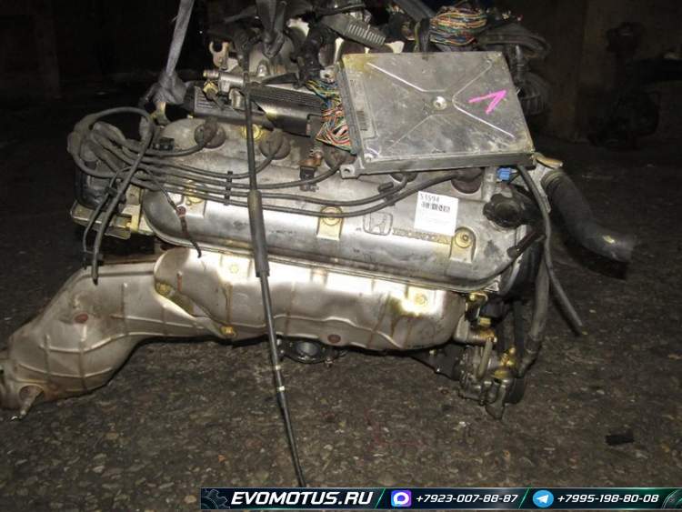 двигатель G20A  на HONDA ASCOT CE4 ( хонда аскот)